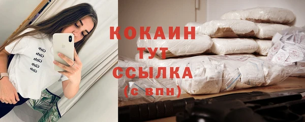 первитин Гусев