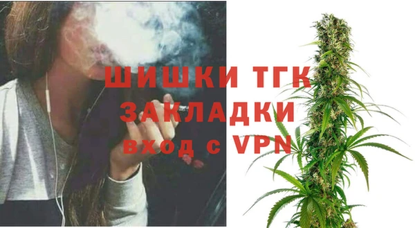 первитин Гусев