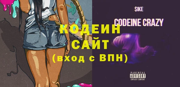 первитин Гусев