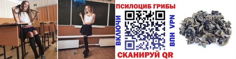 Галлюциногенные грибы Psilocybe Игра
