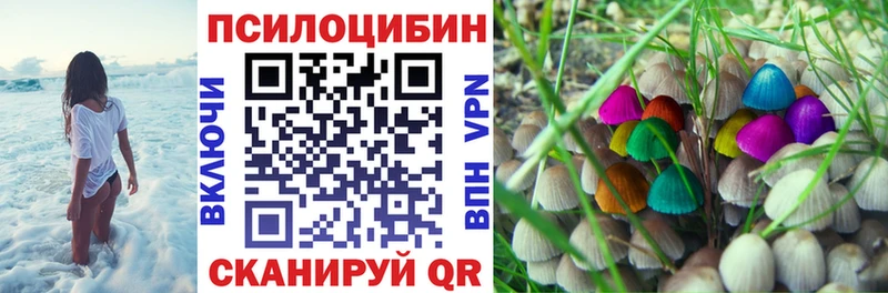 Псилоцибиновые грибы Psilocybine cubensis  Игра 